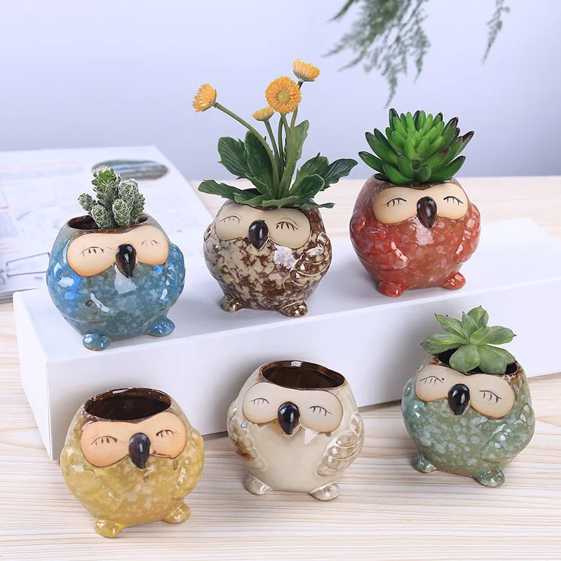 Bonsai Garden Gift - Mini pot à succulentes en céramique