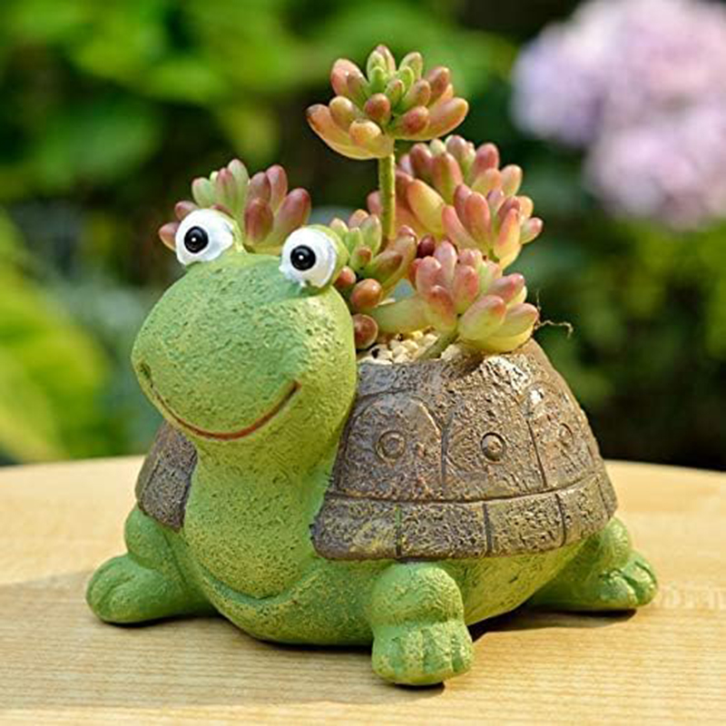 User inière de tortue bonsaï s - Bonsai Garden Gift avis et prix