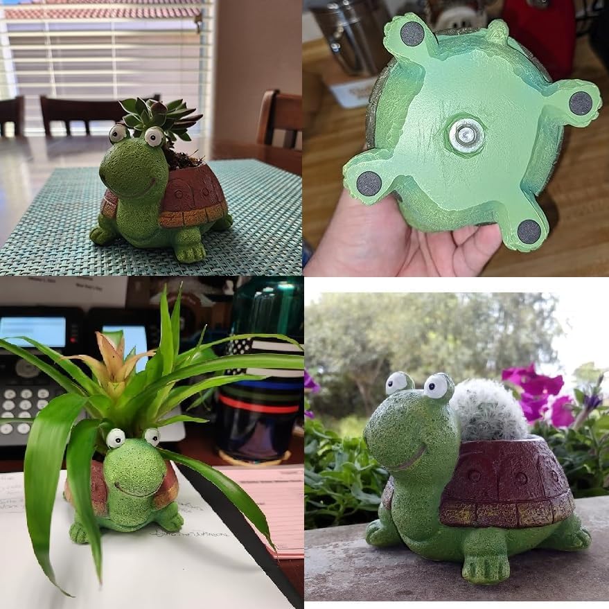 User inière de tortue bonsaï s - Bonsai Garden Gift avis et prix