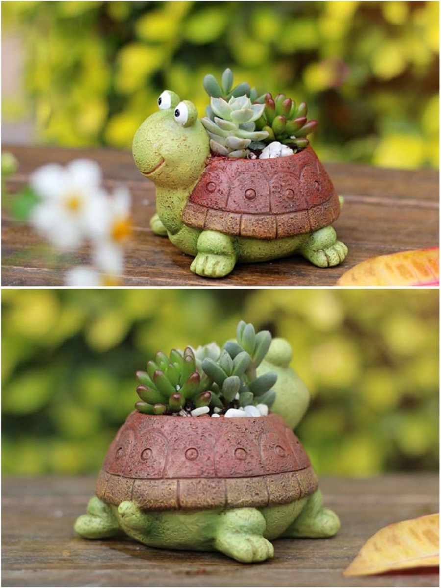 User inière de tortue bonsaï s - Bonsai Garden Gift avis et prix