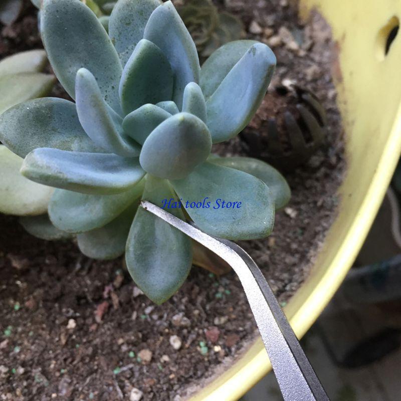 X37e 2 en 1 spatule râteau jar - Bonsai Garden Shop avis et prix