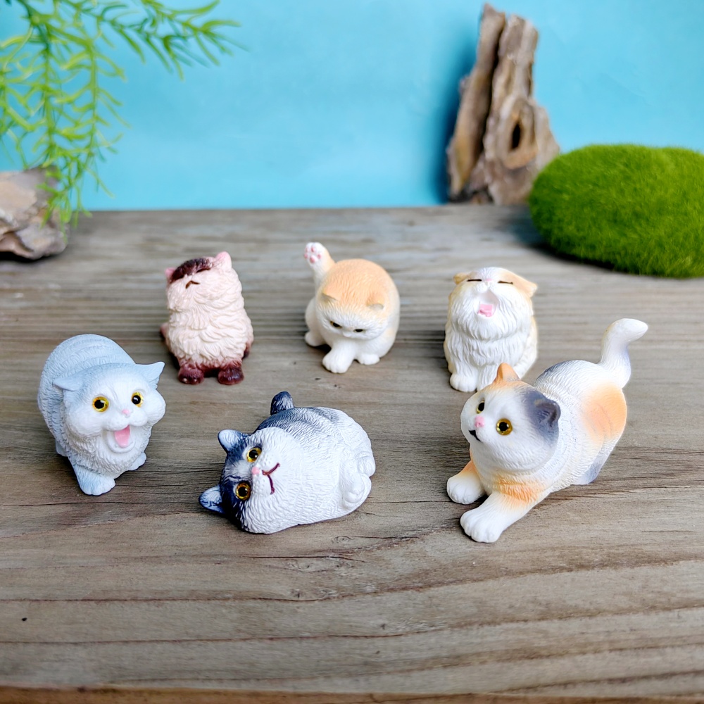 Ensemble chat chien mignon, 6  - Bonsai Garden Gift avis et prix