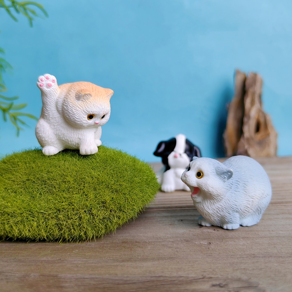 Ensemble chat chien mignon, 6  - Bonsai Garden Gift avis et prix