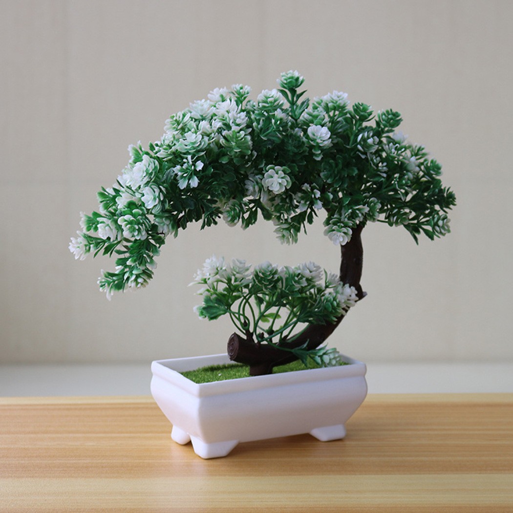 Ornement bonsaï en plastique p - Bonsai Garden For Desk avis et prix