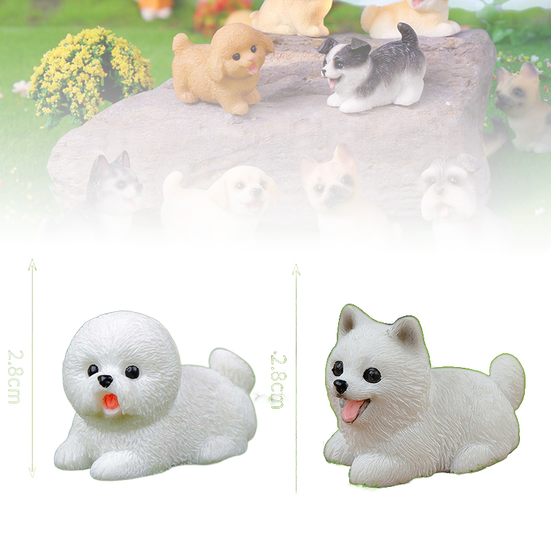 Mignon petit chien chiot Anima - Bonsai Gardenia avis et prix