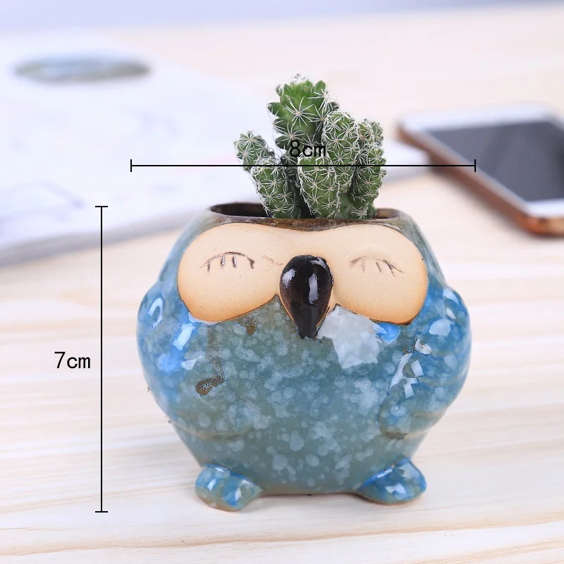 Mini pot à succulentes en céra - Bonsai Garden Gift avis et prix