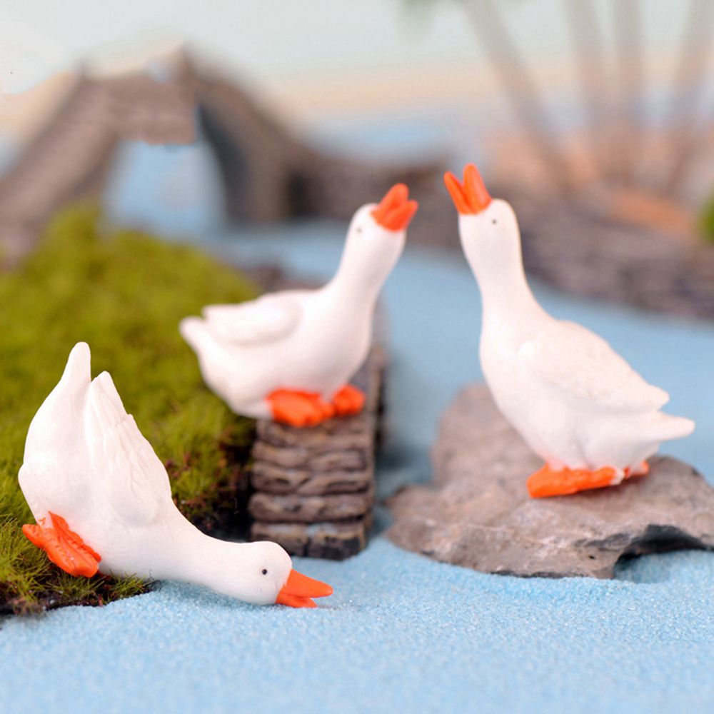 Accessoires de décoration de j - Bonsai Garden Gift avis et prix